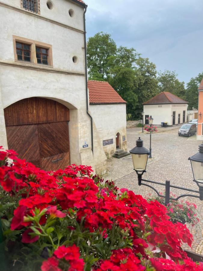 Pension Alt Naumburg Naumburg  Exterior foto